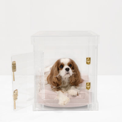 Caisse pour animaux de taille moyenne avec loquet doré