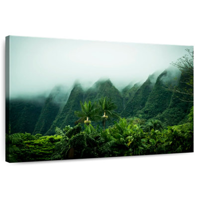 Foggy Kaneohe Landscape