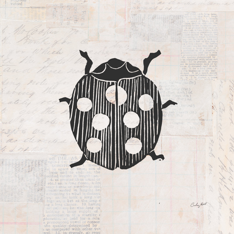 Ladybug Stamp BW by Courtney Prahl - Wrapped Canvas Painting, 30cm H x 30cm W