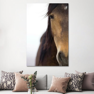 Namib Desert Horse, Namib-Naukluft National Park, Namibia by Cyril Ruoso - Wrapped Canvas Print