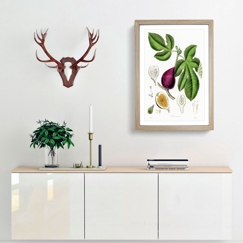 Fig Tree Illustration - Picture Frame Painting Print, 76cm H x 50cm W x 2cm D, Oak