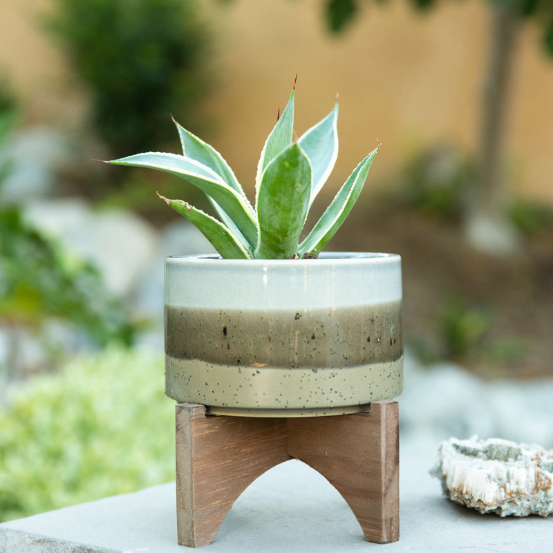 Pot de fleurs en céramique Waycross