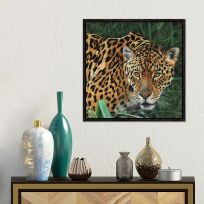 Jaguar Big Cat II by David Stribbling - Gallery-Wrapped Canvas Giclée on Canvas