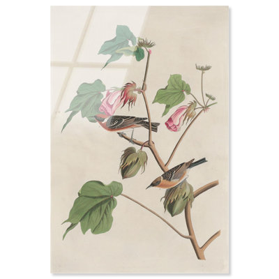 «Softness of Things», reproduction d'art acrylique par Art Remedy