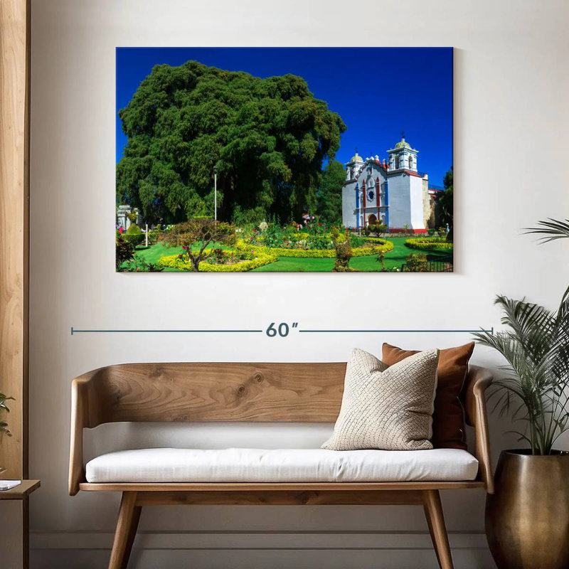 Adella Mexico's El Tule Tree, 32" H x 48" W