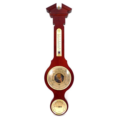 Emillie 20'' Weather Station