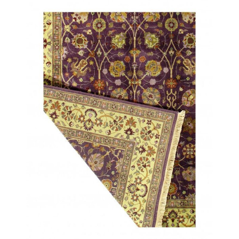 Oriental Area Rug in Ivory