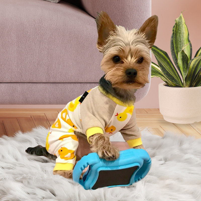De' Vora Scratch Square Dog & Cat Grooming Toy, XS/Small