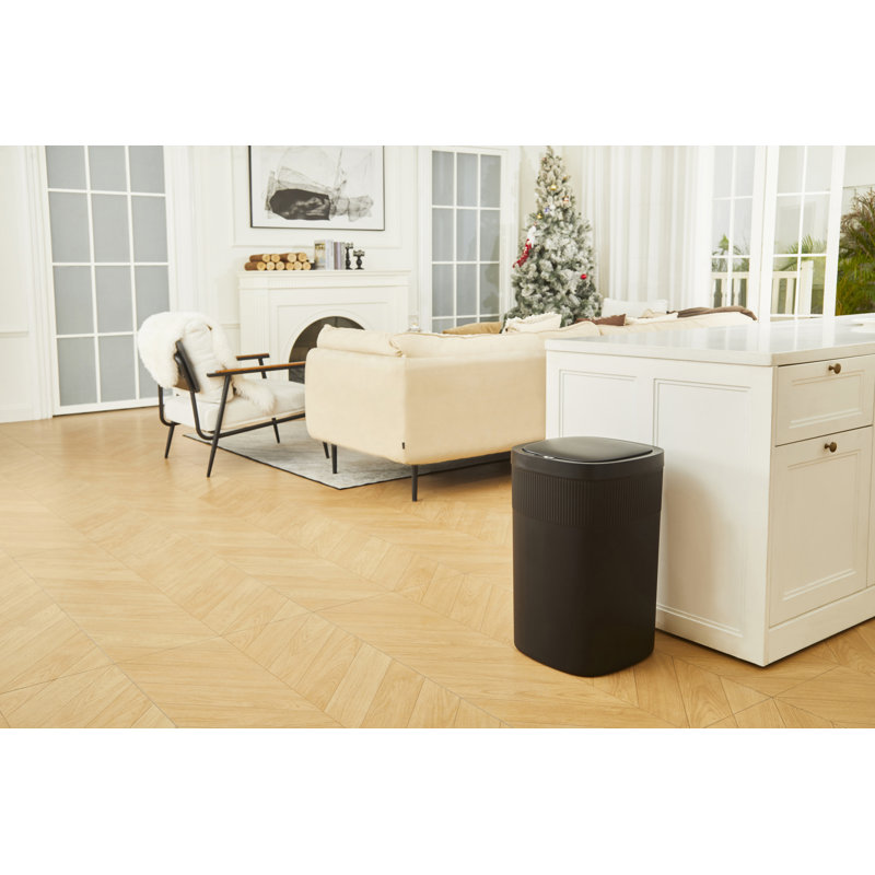 Poubelle à bouton-poussoir et capteur de mouvement automatique Ninestars pour Kithch, 13,2Gal 50L noir, poubelle à ouverture automatique 2 voies, plastique, DZT-50-36BK