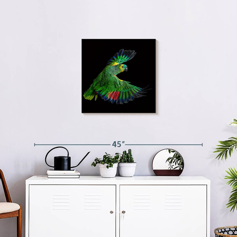 Brampt Flying Parrot, 20" H x 20" W