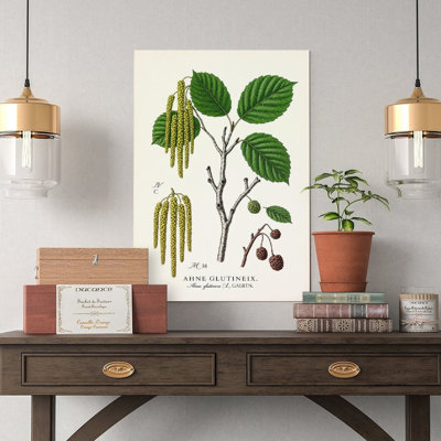 Canvas Wall Art Vintage Botanical Illustration Of Alder Wall Art Vintage Poster Print Home Decor