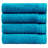 Raquel Midweight Hand Towel-2006121852