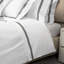 Platinum Flat Sheet-36504296-81188991