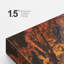 «Vibrant Orange Autumn Fall Forest Nature» sur-99142203-99142202