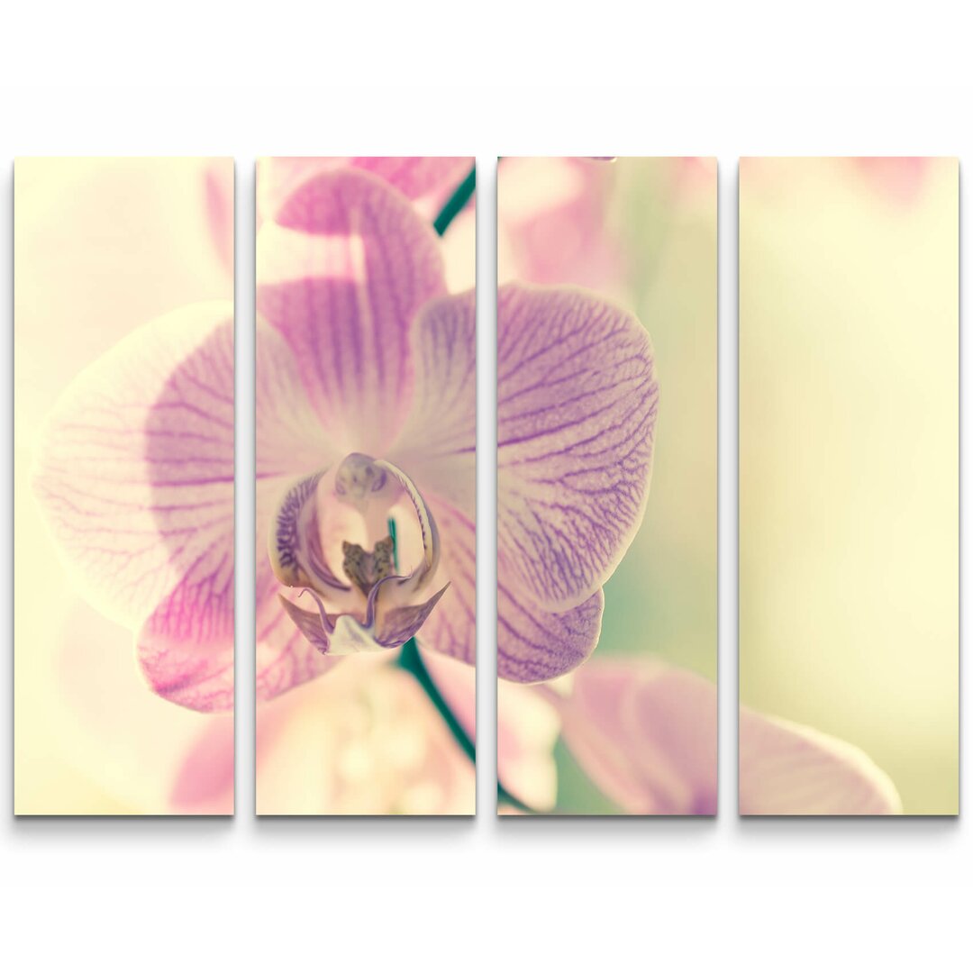 4-tlg. Leinwandbilder-Set Nahaufnahme einer blauen Orchidee