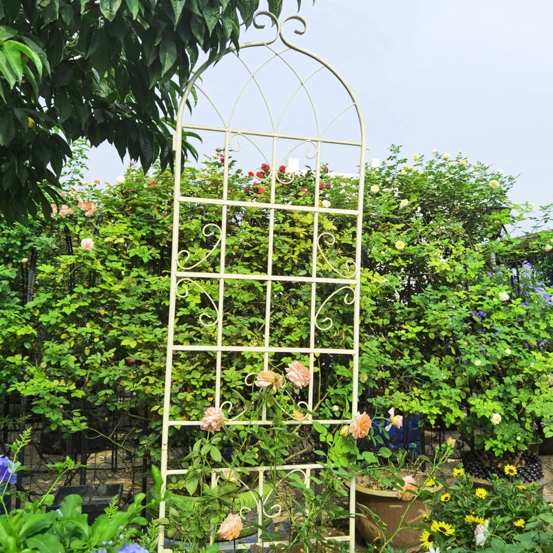 Ensemble de 2 treillis de jardin en métal antirouille de 86,7 po x 19,7 po blanc crème, idéal pour les plantes grimpantes: rose, jasmin, haricots, gloire matinale facile à assembler, raisin,