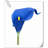 20 pièces de fleurs de lys Calla-945559914