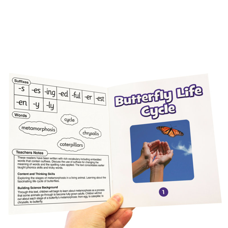 Educational Game or Tool