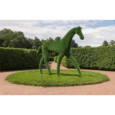 Topiaire de cheval extérieur