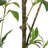 120CMARTIFICIAL PIERIS TREE-1164920490