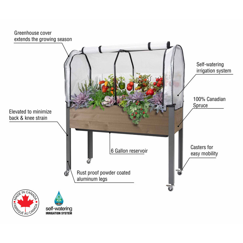 Gracie Oaks Self-Watering Planter (21 X 47) + Combo Cover, Brown