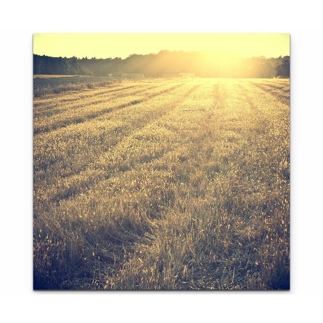 Leinwandbild Herbstliche Wiese in der Abendsonne