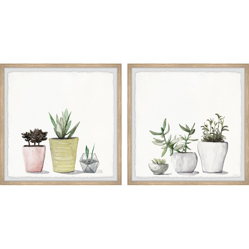 Vases Of Succulents by Parvez Taj - 2 Piece Single Picture Frame Painting Set, 81" H x 81" W x 3.81" D