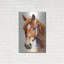 «Horse 2» par Petals Prints Design-1397598673