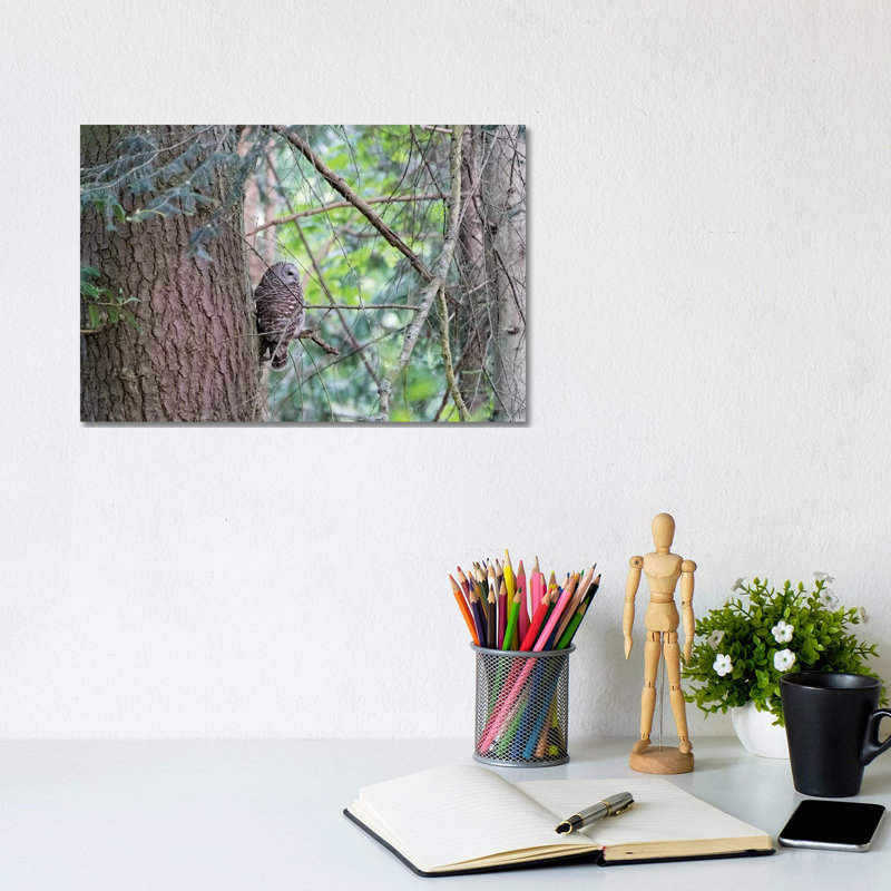 Owl by MScottPhotography - Wrapped Canvas Print, 20.32 cm H x 30.48 cm W