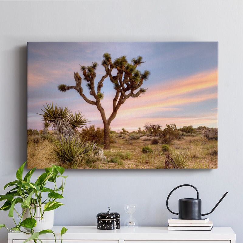 Joshua Tree Sunrise - Cavas enveloppés de galerie, H 40 po x l 60 po