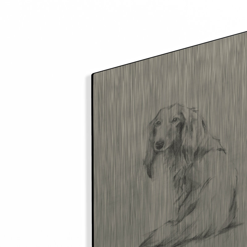 «Puppy Dog Eyes II» par Ethan Harper, H 16 po x l 12 po