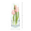 Tulips Arranged in a Glass Vase