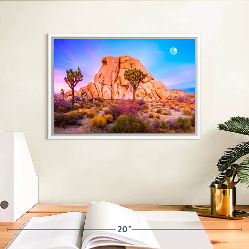 Joshua Tree National Park, Cadre flottant blanc, 13 po x 9 po