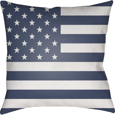  Indoor/Outdoor Throw Pillow