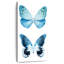 Miss Butterfly X-Ray - blanc-617854761