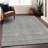 Premium Machine Washable Prisco Gray Rug-522604323