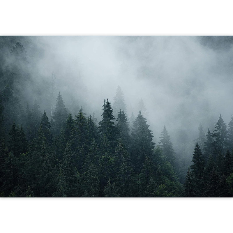 Murale Forêt en brume, L 100 po x l 144 po