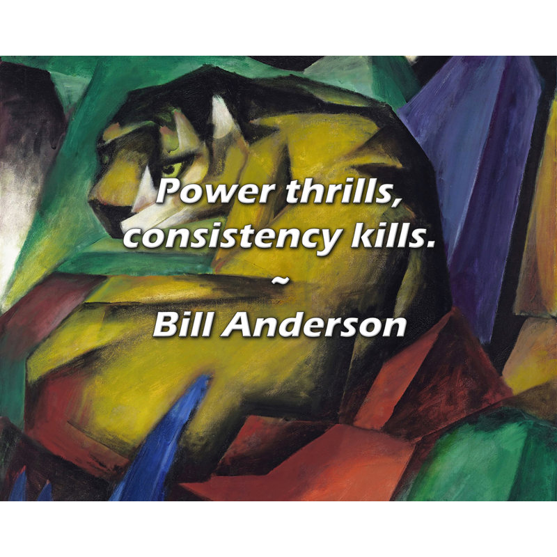 Bill Anderson Quote: Power thrills, consistency kills.