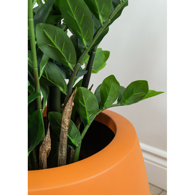 Fausse plante botanique Zamifolia