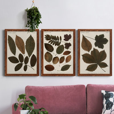 Autumnal Leaves I - Ensemble de 3 peintures sur toile encadrées