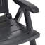 Carousel Garden Reclining Chairs Plastic-322097792