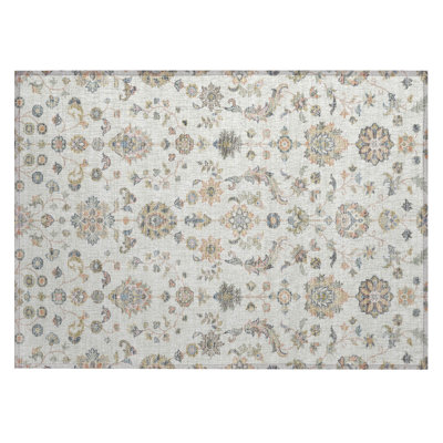 Tapis traditionnel lavable à la machine intérieur / extérieur ACN2585 Chantille