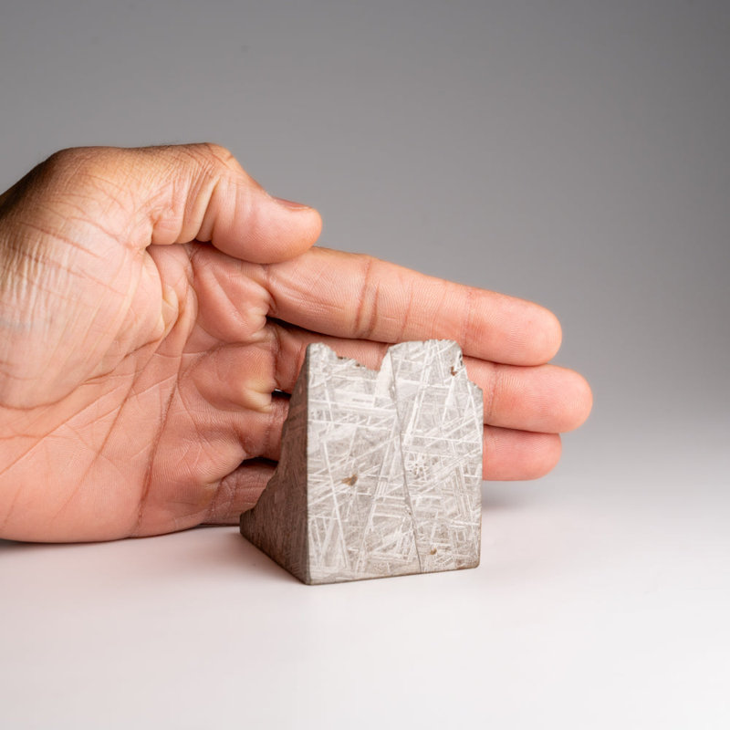 Genuine Muonionalusta Meteorite Slice (453.6 Grams)