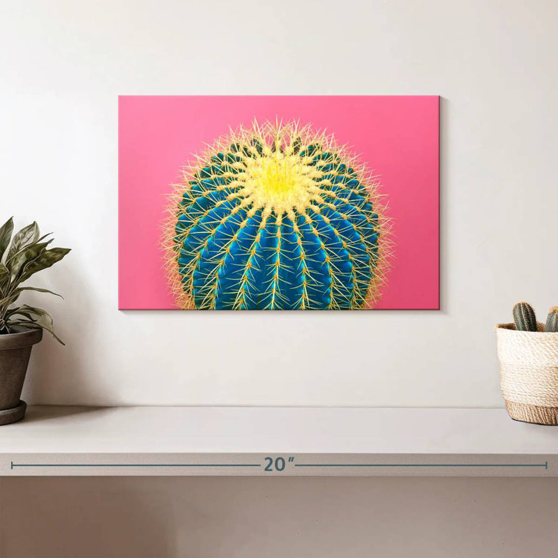 Harnek Funky Cactus, H 8 po x l 12 po