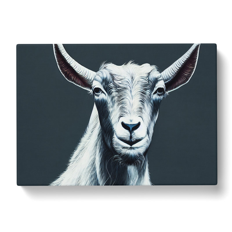 Modern Goat - Wrapped Canvas, 35cm H x 50cm W x 3cm D