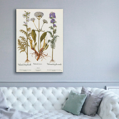 Epic Graffiti 'Valeriana'  by Art Licensing Studio Canvas Wall Art, 40" x 54"