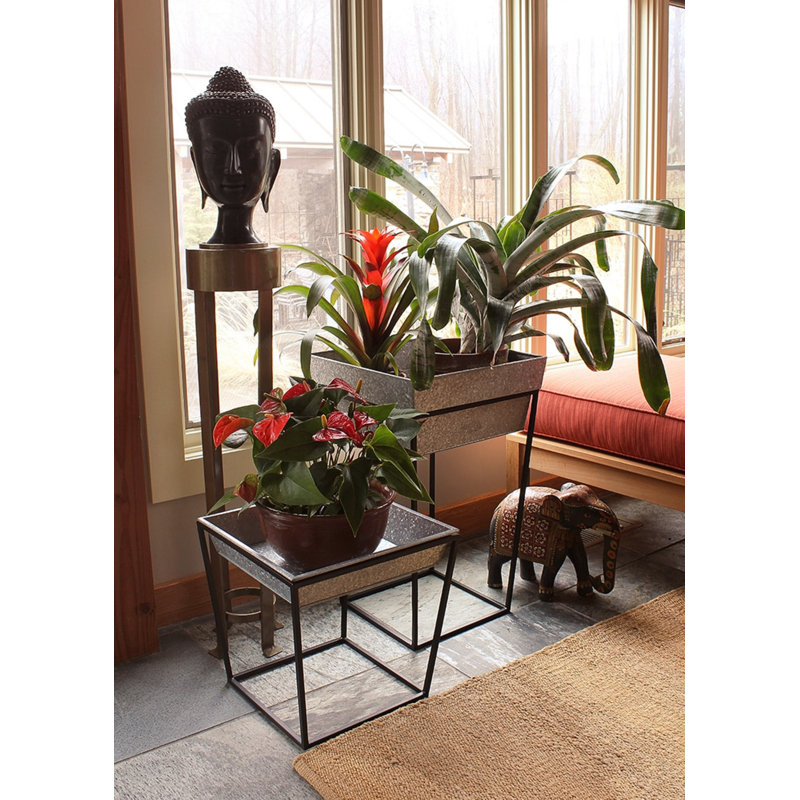 Support pour plante Moorgate, Argenté intense