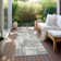 Machine Washable Indoor/Outdoor Chayden ACN1008 Gray Rug