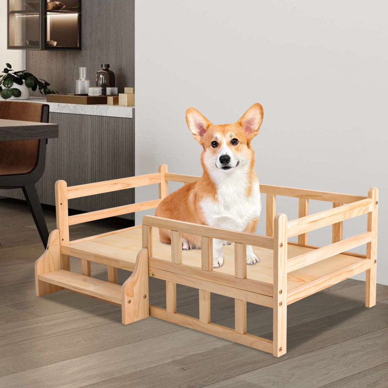 Lit pour chien Ebere, Petite taille: L 22 po x l 37,80 po
