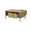 Eara Coffee Table with Storage